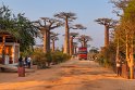 107 Baobab Avenue